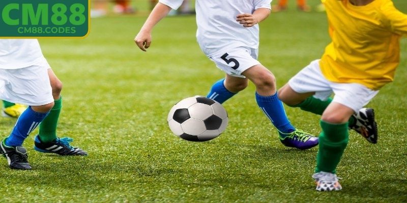 Tổng hợp những loại cược trực tiếp hấp dẫn